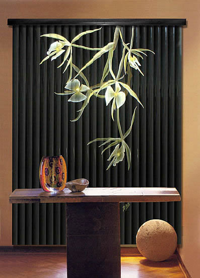 Printed Blind Vertical6